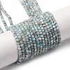 Natural Larimar Beads Strands G-F803-C01-01-2