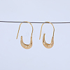 U-shaped Brass Dangle Earrings WD6040-2