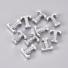 Alloy Slide Charms PALLOY-WH0066-21T-A-2