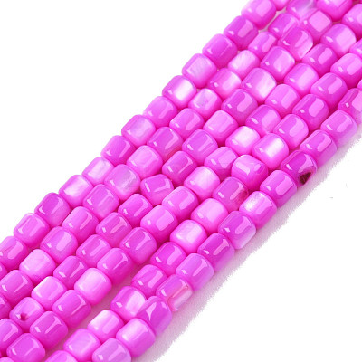 Natural Freshwater Shell Beads Strands SHEL-N003-33-A05-1