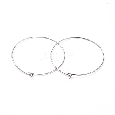 316 Surgical Stainless Steel Hoop Earring Findings STAS-J025-01F-P-1