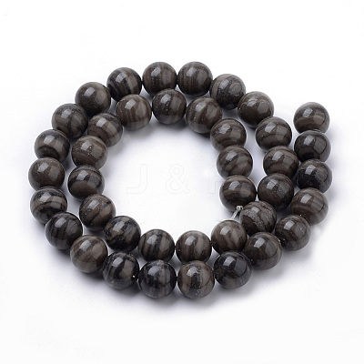 Natural Wood Lace Stone Wooden Jasper Beads Strands G-S259-40-10mm-1