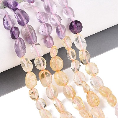 Natural Rose Quartz & Amethyst & Citrine(Heated) & Prehnite Beads Strands G-N371-01A-01-1