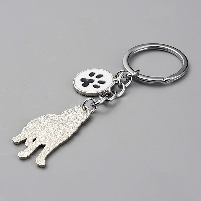 Alloy Keychain KEYC-SZC0006-01R-1