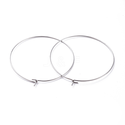 316 Surgical Stainless Steel Hoop Earring Findings STAS-J025-01F-P-1