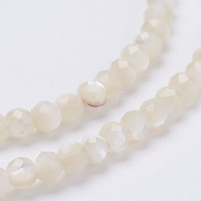 Natural Shell Beads Strands G-E354-03-1