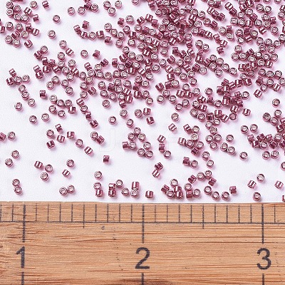 MIYUKI Delica Beads X-SEED-J020-DB0428-1