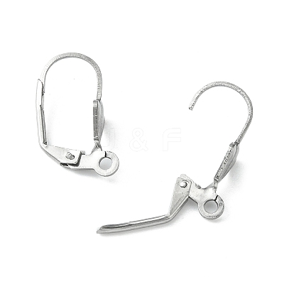Tarnish Resistant 304 Stainless Steel Leverback Earring Findings STAS-E007-2-1