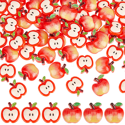 60Pcs 2 Styles Resin Cabochons RESI-SC0006-48-1