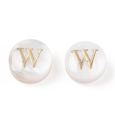 Natural Freshwater Shell Beads SHEL-N036-01W-1