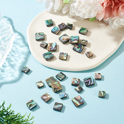 30Pcs 3 Styles Natural Paua Shell Beads BSHE-TA0001-37-1