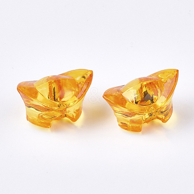 Transparent Acrylic Pendants TACR-S133-043-1