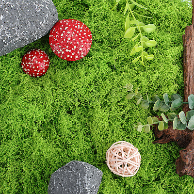 150g Artificial Moss Rocks DJEW-SP0001-22B-1