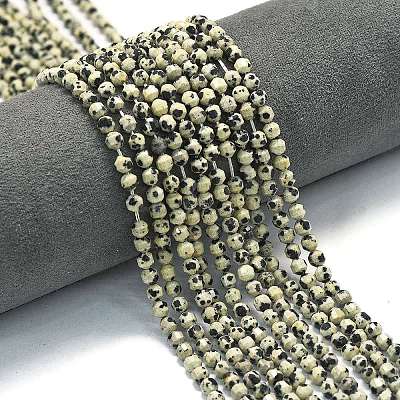 Natural Dalmatian Jasper Beads Strands G-A260-A10-01-1