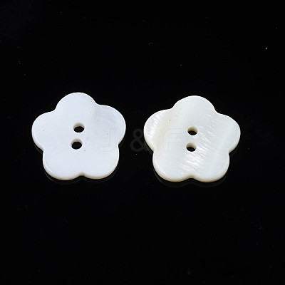 Natural Freshwater Shell Buttons SHEL-N026-181-1