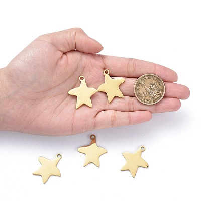 304 Stainless Steel Pendants LS-STAS-I140-13G-1