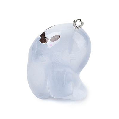 Halloween Transparent Resin Pendants LS-RESI-K047-01A-1