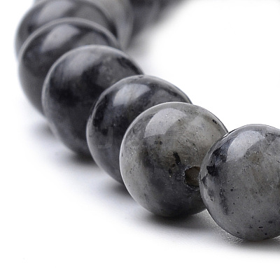 Natural Larvikite Beads Strands X-G-S259-06-8mm-1