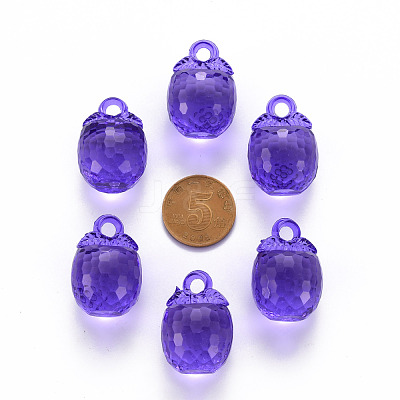 Autumn Theme Transparent Acrylic Pendants TACR-T024-04B-936-1