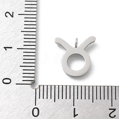 304 Stainless Steel Micro Pave Cubic Zirconia Charms STAS-Z107-09P-03-1