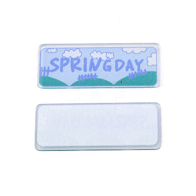 Transparent Printed Acrylic Cabochons TACR-N016-23-1