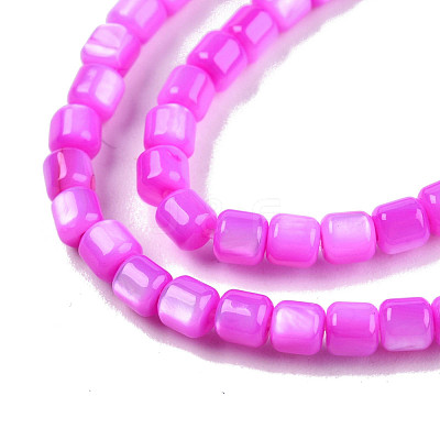 Natural Freshwater Shell Beads Strands SHEL-N003-33-A05-1
