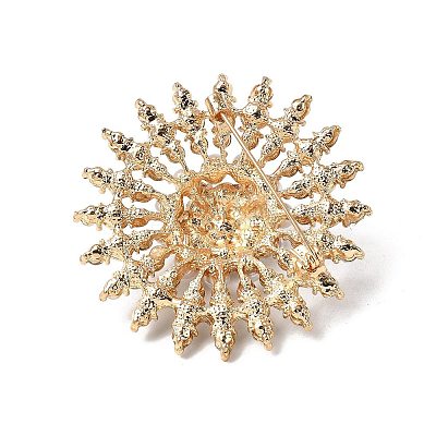 Alloy Rhinestone Brooches JEWB-XCP0001-10-1