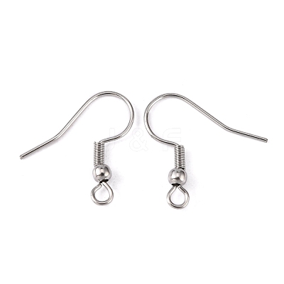 Tarnish Resistant 316 Surgical Stainless Steel Earring Hooks X-STAS-O032-01-1