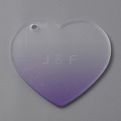 Gradient Transparent Acrylic Disc Big Pendants LS-FIND-WH0032-54E-1