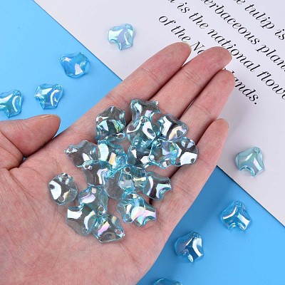Transparent Acrylic Pendants MACR-S373-106-C01-1