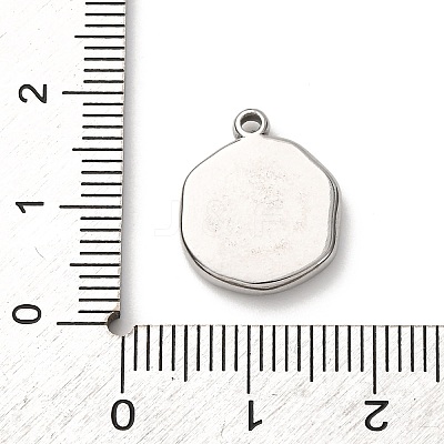 304 Stainless Steel Pendants STAS-I348-02P-02-1