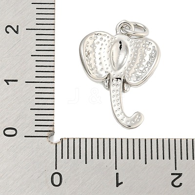 Rack Plating Brass Pendants KK-U021-07P-1