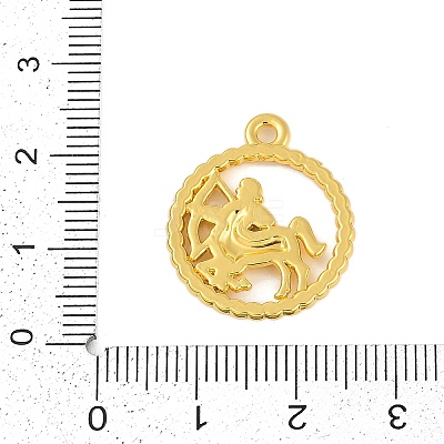 Twelve Constellations Alloy Pendants PALLOY-Q006-01D-G-1