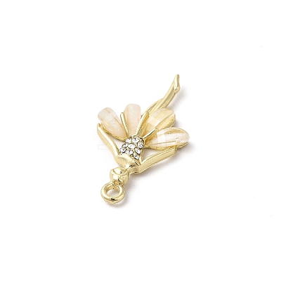 Alloy Pendants PALLOY-R140-06G-1