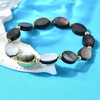 Abalone Shell Beads Stretch Bracelets BJEW-D315-03G-1