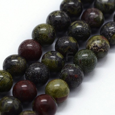 Natural Bloodstone Beads Strands G-I199-21-8mm-1