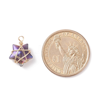 Wire Wrapped Electroplate Glass Charms PALLOY-JF01649-01-1