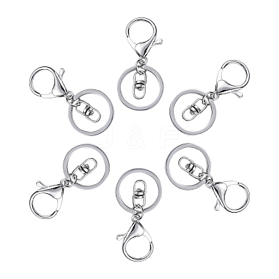 Iron Alloy Lobster Claw Clasp Keychain X-KEYC-D016-P-1