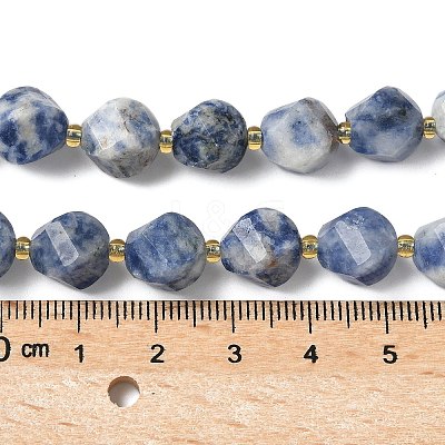 Natural Blue Spot Jasper Beads Strands G-U023-A05-01-1