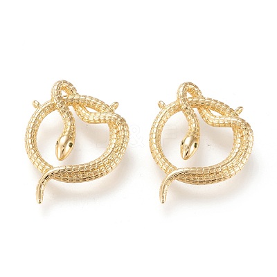 Brass Micro Pave Cubic Zirconia Pendants X-ZIRC-K086-09G-1