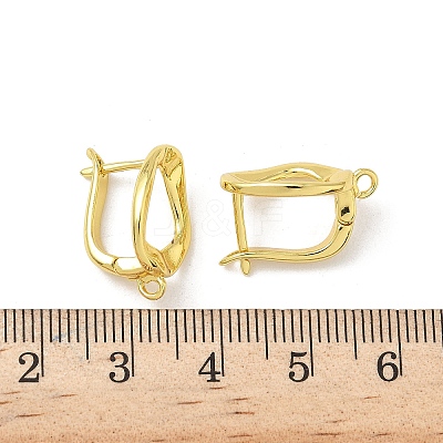 Brass Oval Hoop Earring Findings KK-G536-05G-1