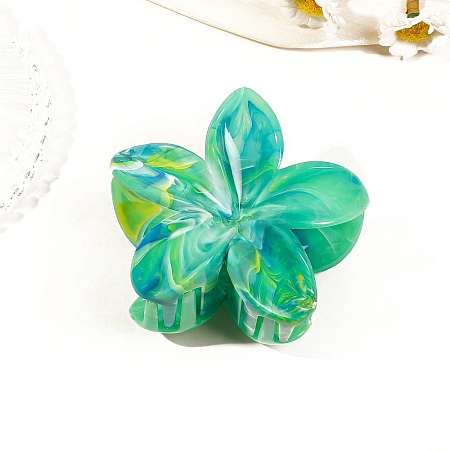 Resin Claw Hair Clips PW-WG0E0E6-13-1