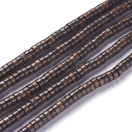 Natural Bronzite Bead Strands G-P444-06A-1