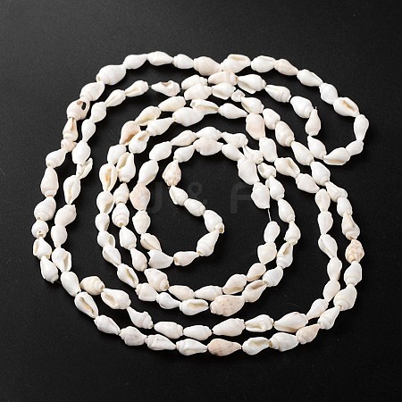 Natural Sea Shell Conch Bead Strands BSHE-O009-06-1