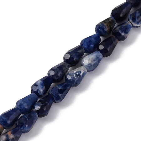 Natural Sodalite Beads Strands G-C080-B05-01A-1