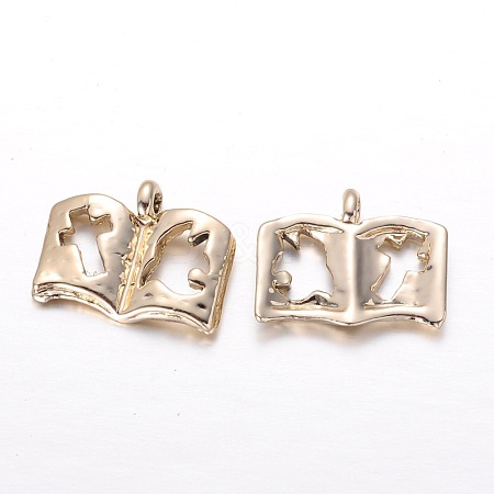 Alloy Charms PALLOY-G131-19G-AAA-1