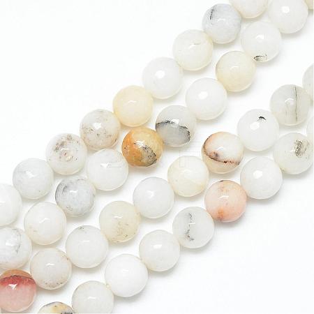 Natural Agate Bead Strands G-R346-12mm-26-1