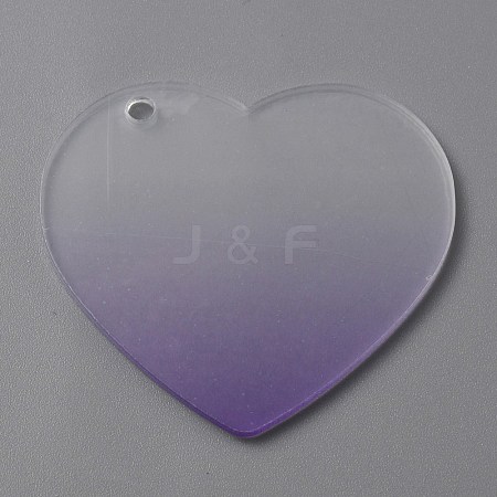 Gradient Transparent Acrylic Disc Big Pendants LS-FIND-WH0032-54E-1