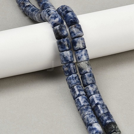 Natural Blue Spot Jasper Beads Strands G-G275-D21-10x10mm-1