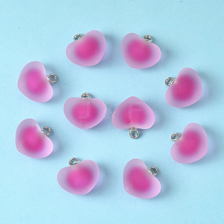 10Pcs Frosted Resin Pendants RESI-YW0004-45E-1
